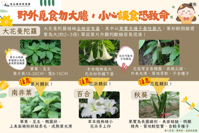 [訓育組] 轉知宣導事項：「不採、不食野生不明動植物」原則，以降低食品中毒風險。圖片